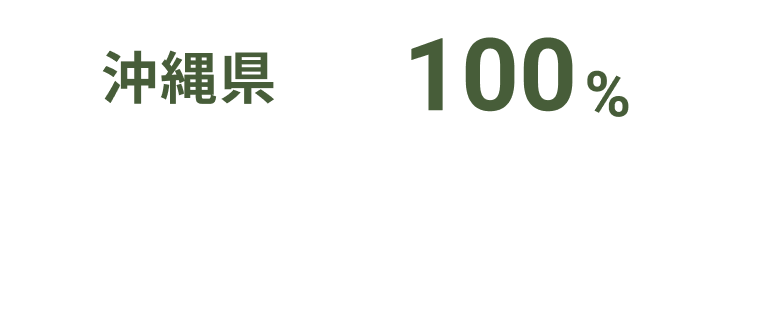 沖縄県100%